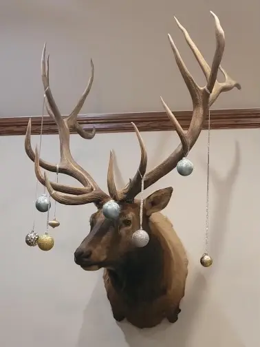 Elk head with decorations.